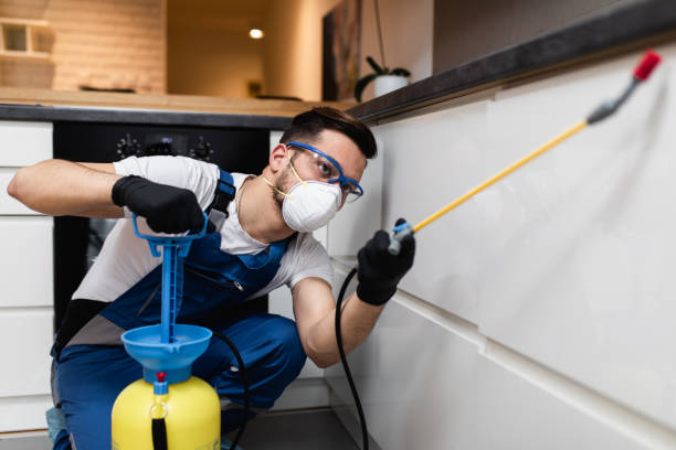 Professional Pest Control in Towaco, NJ