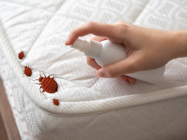 Best Mosquito Control Services  in Towaco, NJ